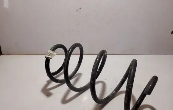 Ford Mustang VI Front coil spring FR3C5310CE