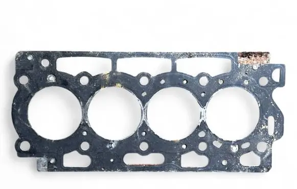 Peugeot 206 Rubber seal loading door 8701799