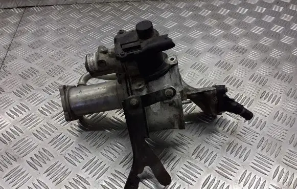 Renault Clio III EGR valve 8200729079