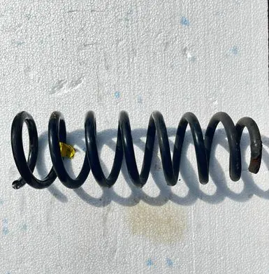 Front coil spring