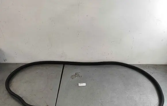 MG MG5 II Rear door rubber seal (on body) 10321422