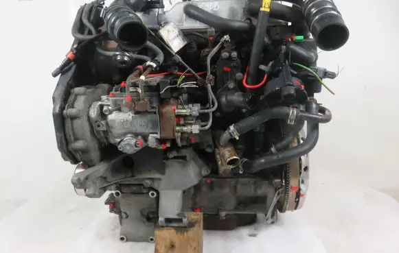 Ford Focus Engine C9DB