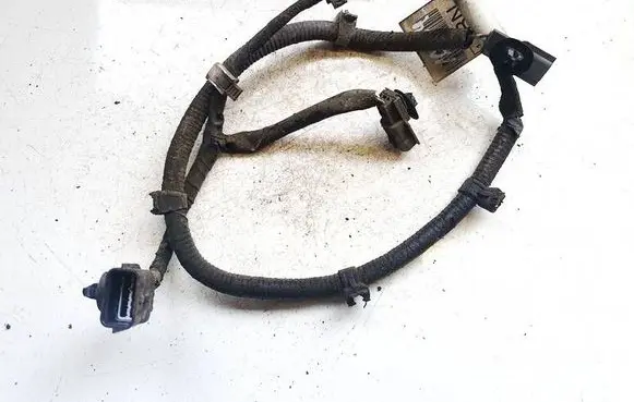 Nissan Leaf I (ZE0) Other wiring loom 241673nl0a