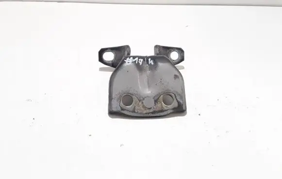 Hyundai Santa Fe Rear door lower hinge