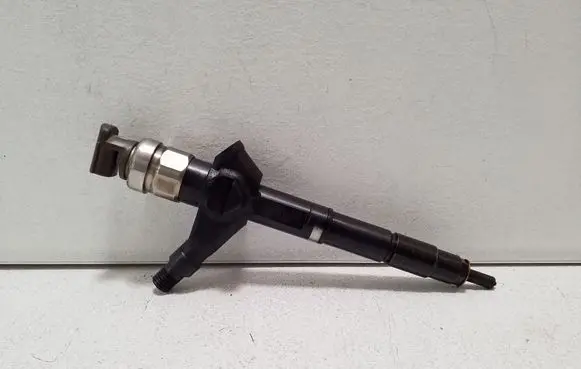 Nissan Pathfinder R51 Fuel injector 16600EB300