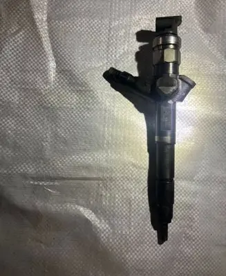 Nissan Pathfinder R51 Fuel injector 16600EB300
