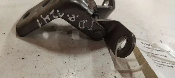 KIA Sorento Front door lower hinge