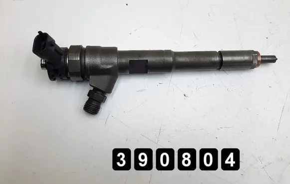 Renault Kangoo II Fuel injector 0445110485 H8201108033