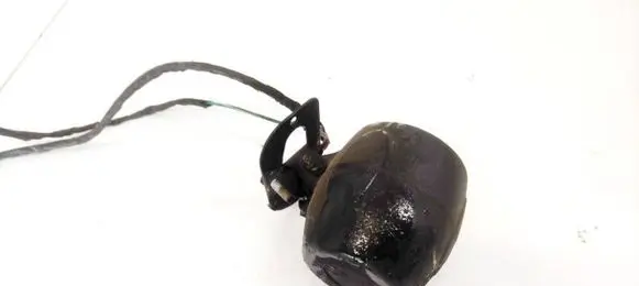 Volkswagen Golf IV Alarm system siren 