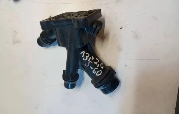 Thermostat/thermostat housing