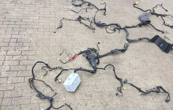 Alfa Romeo Stelvio Positive wiring loom 