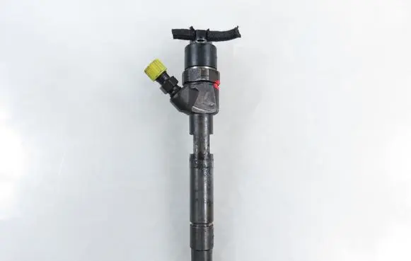 Smart ForTwo I Fuel injector 6600700187 0445110023