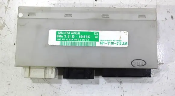 BMW X5 E53 Voice control module 6946947