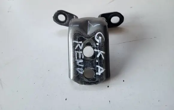 Renault Kadjar Rear door lower hinge