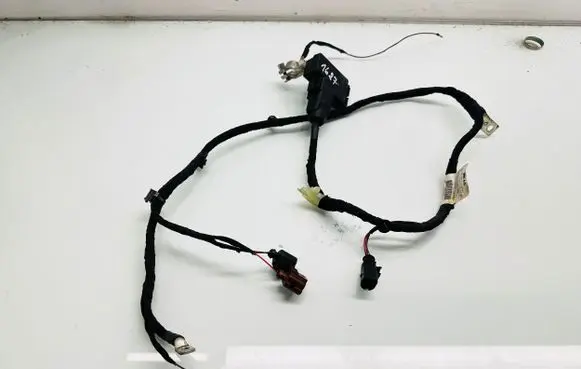 Positive wiring loom