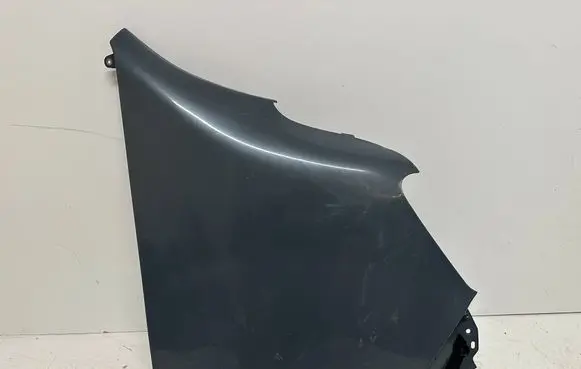 Renault Master III Fender