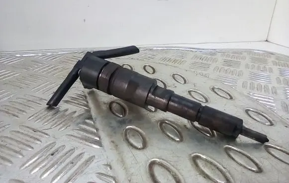 Citroen Xsara Picasso Fuel injector 9641742880 0445110076