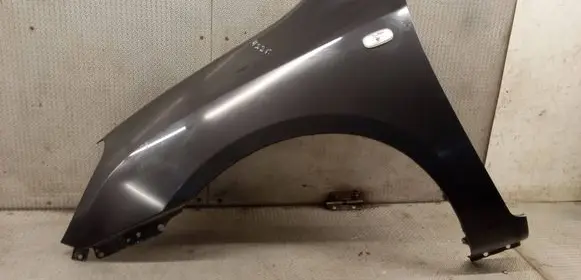 KIA Carens II Fender 