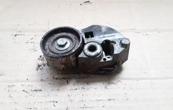 Hyundai Santa Fe Generator/alternator belt tensioner 2441027000