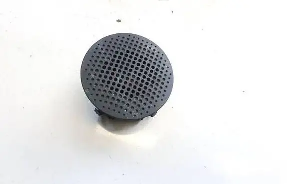 Front door speaker