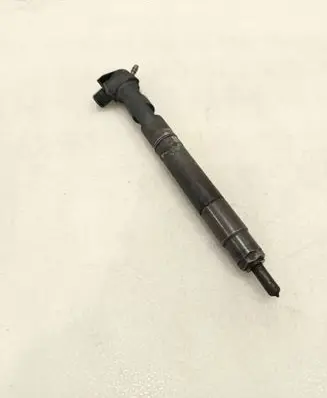 Chevrolet Captiva Fuel injector 28489548