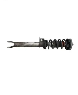 BMW M5 Front shock absorber with coil spring 2284046