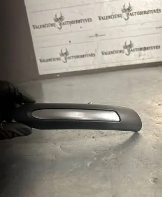 Other front door trim element
