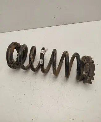 Land Rover Discovery Sport Rear coil spring FK725B749GB