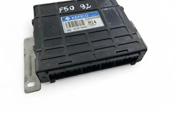 Hyundai Sonata Engine control unit/module ECU 3912038640