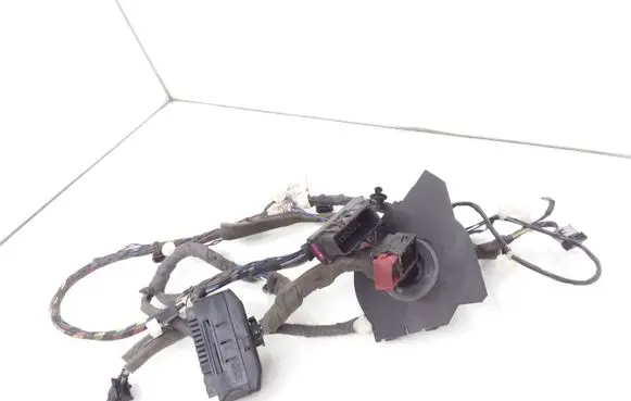 Opel Vectra C Front door wiring loom 13195853