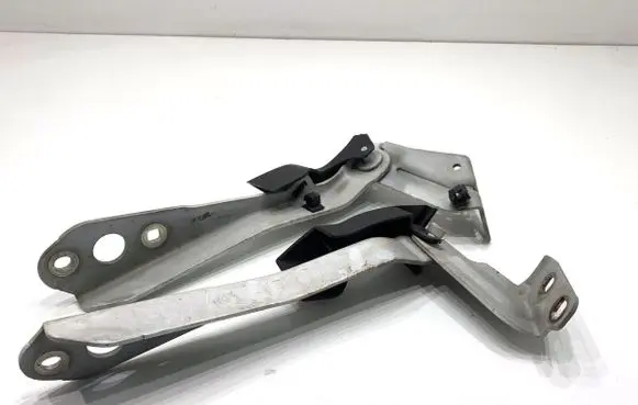 Opel Movano B Engine bonnet/hood hinges 654010006R