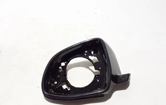 BMW X7 G07 Front door wing mirror part 697169AB