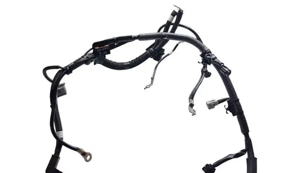 Other wiring loom