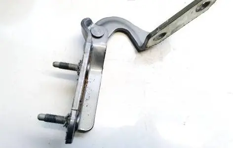 Tailgate/trunk/boot hinge