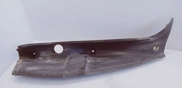 Rear/tail light trim molding