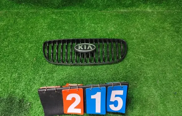 KIA Picanto Front grill 