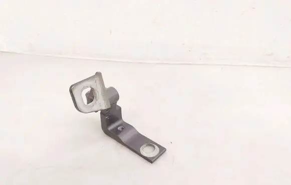Ford Mustang Mach-E Rear door lower hinge
