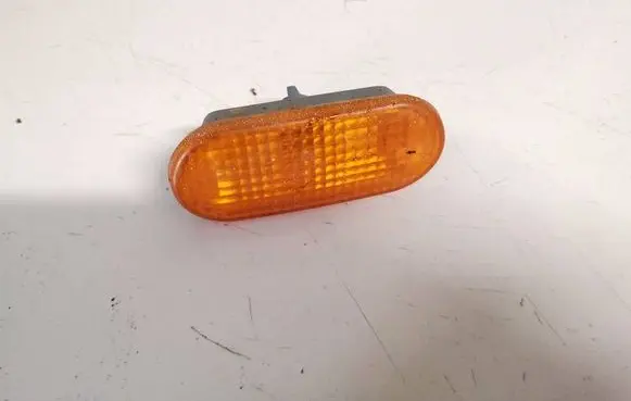 Front fender indicator light