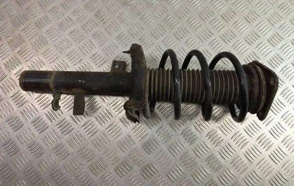 Ford C-MAX II Front shock absorber/damper AV6118045ABE E5621603