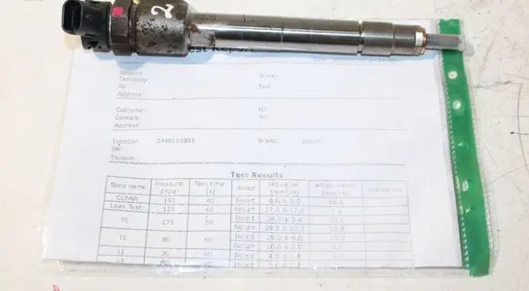 Peugeot Partner III Fuel injector 0445110955 9828959880
