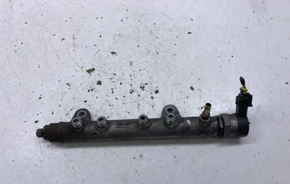 Hyundai ix 55 Fuel main line pipe 0281002829 314013A000 0445216022