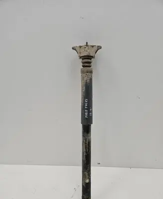 Ford Focus Rear shock absorber/damper