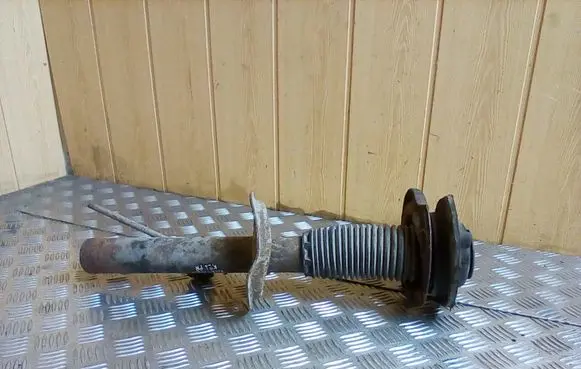 Peugeot Partner Front shock absorber/damper 2ZFG