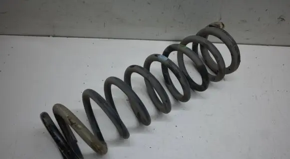 Rear coil spring