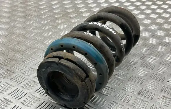 Rear coil spring