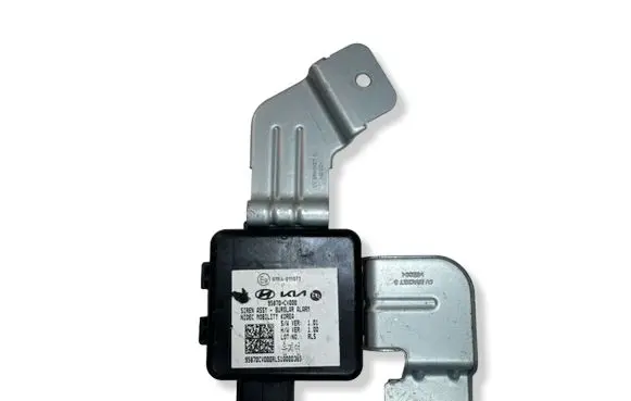 Hyundai Ioniq 5 Alarm system siren 95870CV000