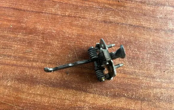 Dacia Sandero Front door check strap stopper