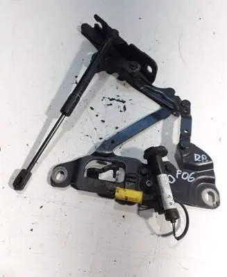 BMW 6 F06 Gran coupe Engine bonnet/hood hinges 7249888