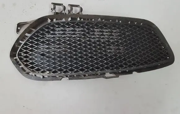 Front fog light trim/grill
