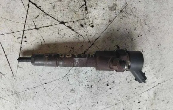 Renault Scenic I Fuel injector 0445110146